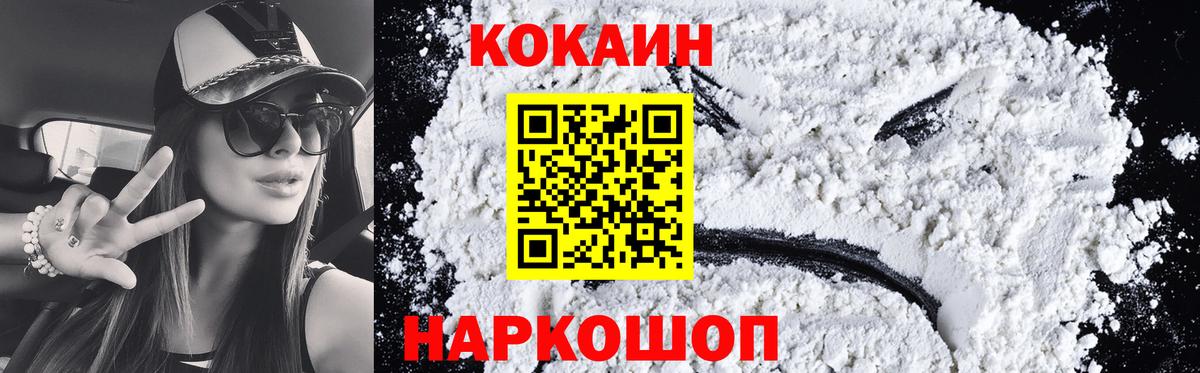 COCAIN FishScale  Вход с VPN  купить наркотик  Cocaine FishScale  Нефтекумск 